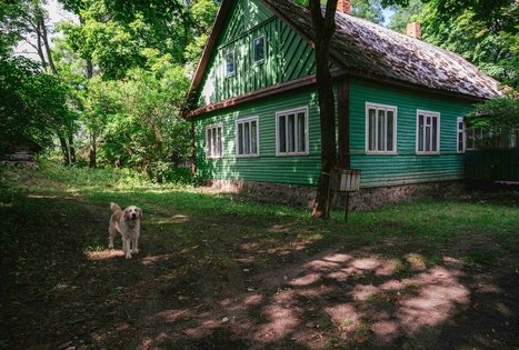 Forest Trail 61. Alksniakiemis – Pakuonis.