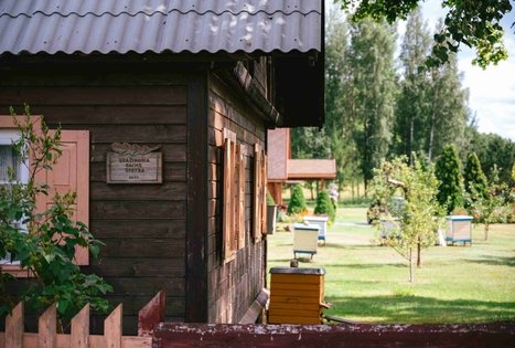 Forest Trail 61. Alksniakiemis – Pakuonis.