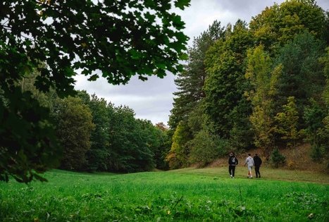 Forest Trail 62. Pakuonis – Vaišvydava.