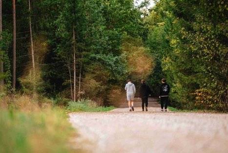 Forest Trail 62. Pakuonis – Vaišvydava.