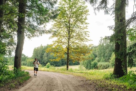 Miško Takas 63. Vaišvydava – Kaunas.