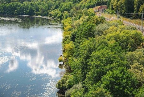 Miško Takas 63. Vaišvydava – Kaunas.