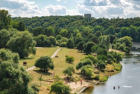 Miško Takas 63. Vaišvydava – Kaunas.