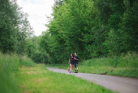Miško Takas 65. Lampėdžiai – Kulautuva.