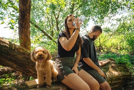 Miško Takas 65. Lampėdžiai – Kulautuva.