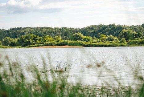 Forest Trail 66. Kulautuva – Vilkija.