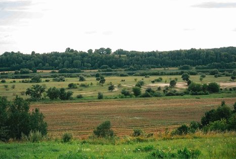 Forest Trail 66. Kulautuva – Vilkija.
