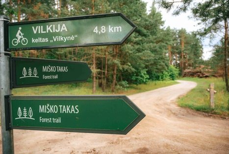 Forest Trail 66. Kulautuva – Vilkija.
