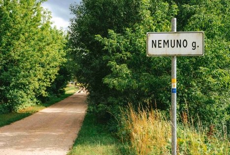 Forest Trail 66. Kulautuva – Vilkija.