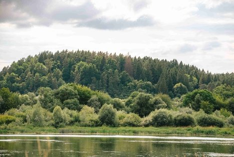 Forest Trail 66. Kulautuva – Vilkija.