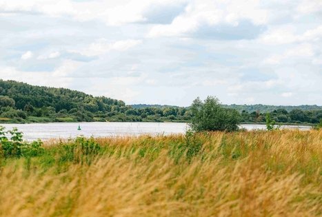 Forest Trail 66. Kulautuva – Vilkija.