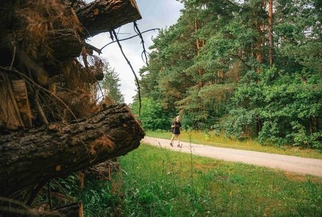 Forest Trail 66. Kulautuva – Vilkija.