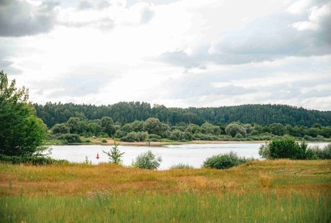 Forest Trail 66. Kulautuva – Vilkija.