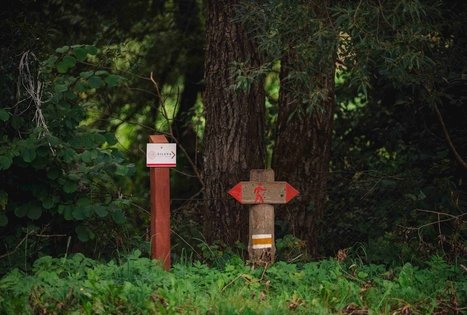 Forest Trail 69. Kirkšnovė – Kaulakiai.