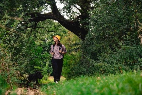 Forest Trail 69. Kirkšnovė – Kaulakiai.