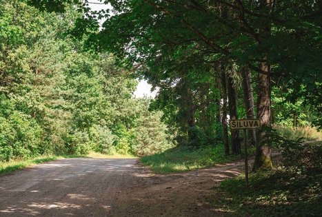 Forest Trail 70. Kaulakiai – Šiluva.