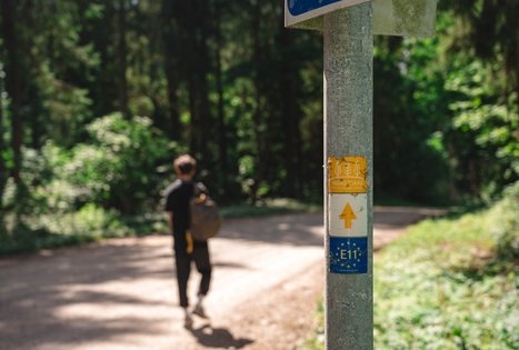 Forest Trail 70. Kaulakiai – Šiluva.