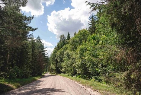 Forest Trail 70. Kaulakiai – Šiluva.