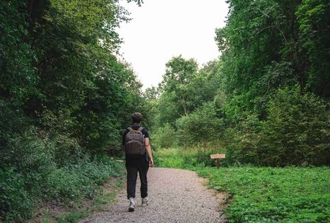Forest Trail 70. Kaulakiai – Šiluva.
