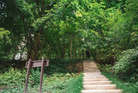 Forest Trail 70. Kaulakiai – Šiluva.
