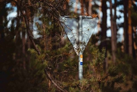 Forest Trail 51. Lazdijai – Veisiejai.