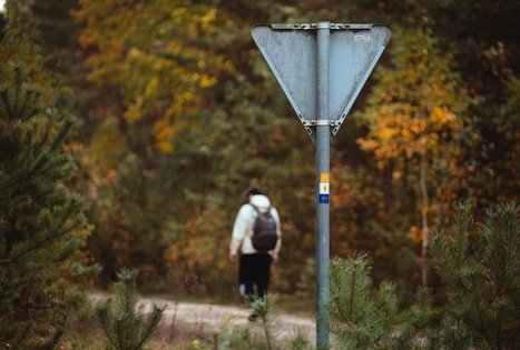 Forest Trail 51. Lazdijai – Veisiejai.