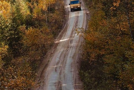 Forest Trail 51. Lazdijai – Veisiejai.