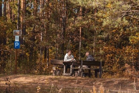 Forest Trail 51. Lazdijai – Veisiejai.