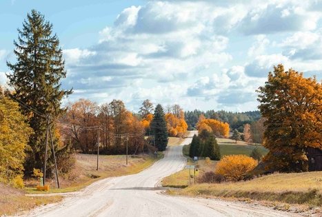 Forest Trail 51. Lazdijai – Veisiejai.