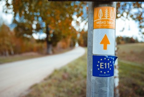 Forest Trail 51. Lazdijai – Veisiejai.