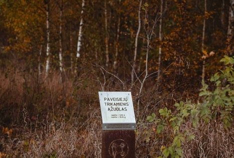 Forest Trail 51. Lazdijai – Veisiejai.