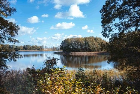 Forest Trail 51. Lazdijai – Veisiejai.