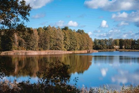 Forest Trail 51. Lazdijai – Veisiejai.