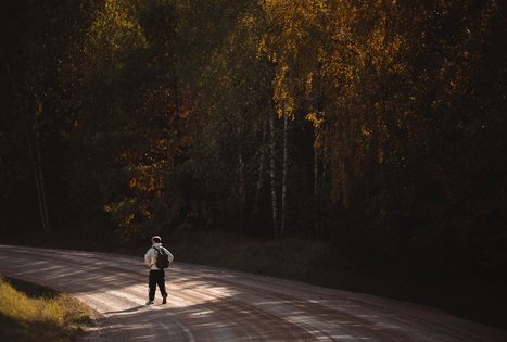 Forest Trail 51. Lazdijai – Veisiejai.