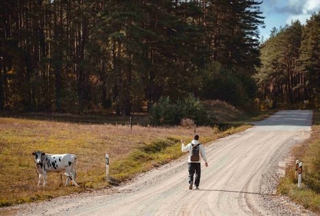 Forest Trail 51. Lazdijai – Veisiejai.