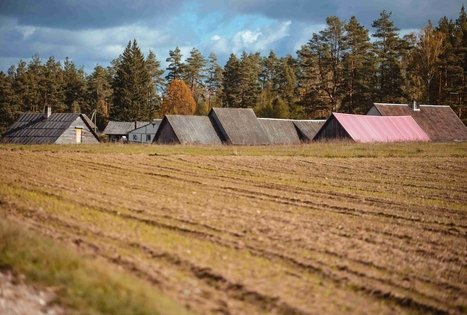 Forest Trail 51. Lazdijai – Veisiejai.