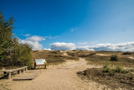 Nagliai Nature Reserve Educational Trail