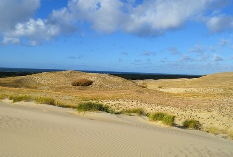 Nagliai Nature Reserve Educational Trail