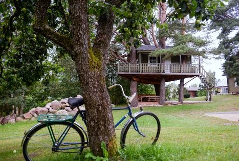 Sodyba „Namelis medyje“