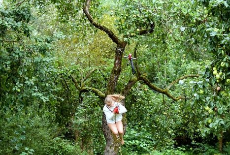 Sodyba „Namelis medyje“