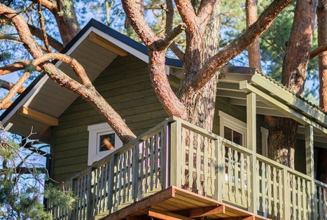 Sodyba „Namelis medyje“