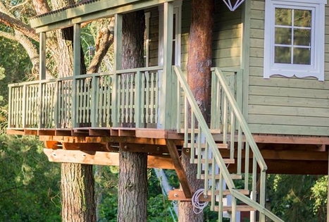 Sodyba „Namelis medyje“