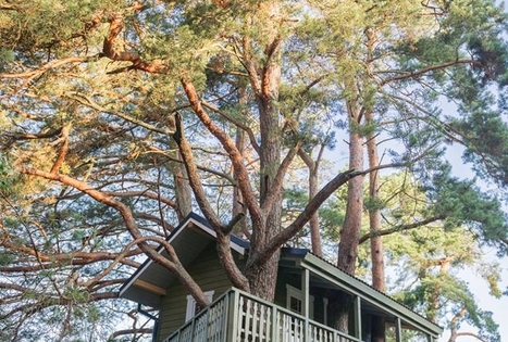 Sodyba „Namelis medyje“