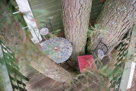 Sodyba „Namelis medyje“