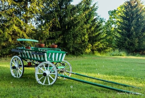 Sodyba „Narūnas“