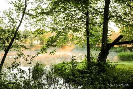 Sodyba „Narūnas“