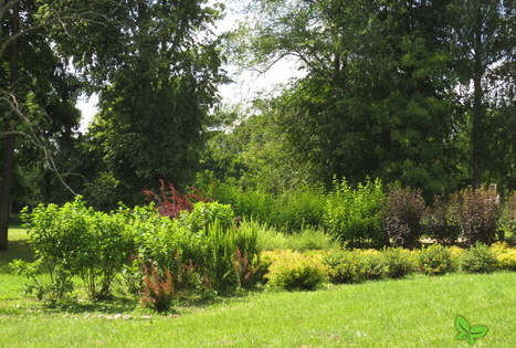 Naujene Local History Museum and the Juzefova park