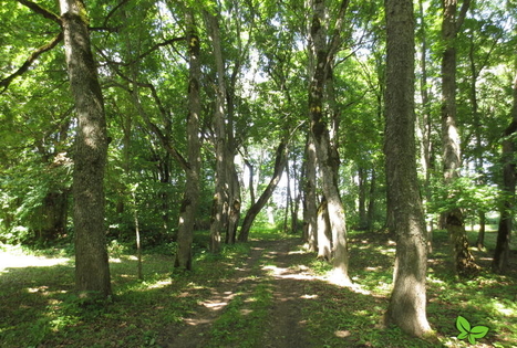 Naujene Local History Museum and the Juzefova park
