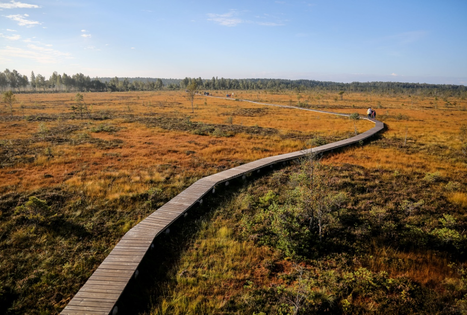 Direction of Nemuno delta regional park