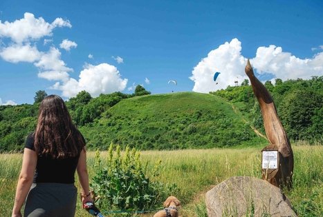 Miško Takas 65. Lampėdžiai – Kulautuva.